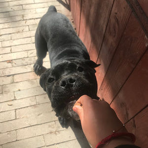 Meet your Posher, Giselle